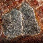 How  Sex Increase  your immunity | 5 secrets regarding Sex