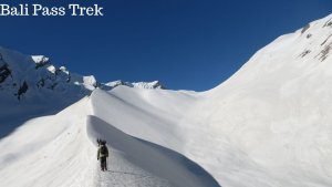Top 10 Trekking Places in India 9 Top 10 Trekking Places in India