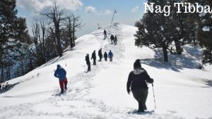 Top 10 Trekking Places in India 10 Top 10 Trekking Places in India