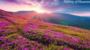 Top 10 Trekking Places in India 5 Top 10 Trekking Places in India