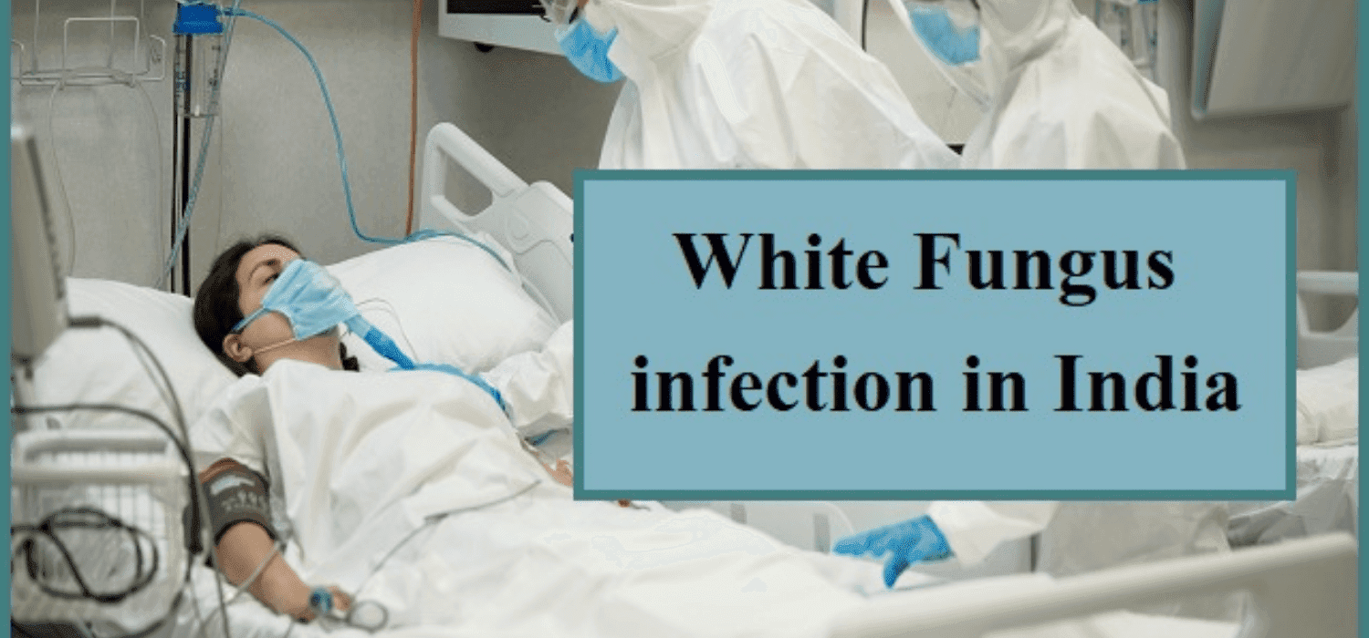 IS WHITE FUNGUS DEADLIER THAN BLACK FUNGUS? 1 white fungus