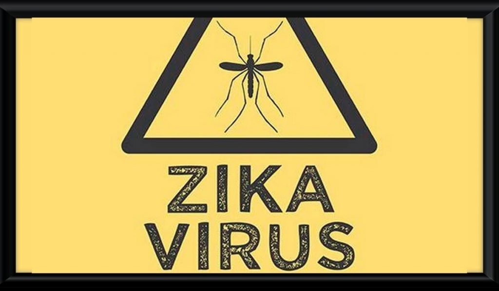 zika virus in india