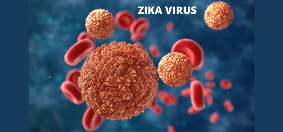 zika virus in india