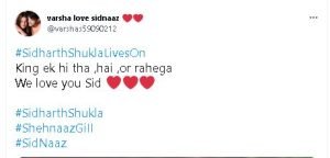 DEATH ANNIVERSARY OF SIDHARTH SHUKLA 4 DEATH ANNIVERSARY OF SIDHARTH SHUKLA