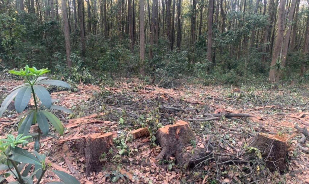 Dehradun floods of 2025